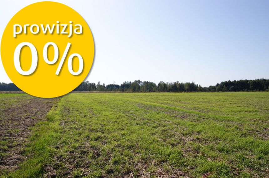 Duża działka nad jeziorem Krasne pod inwestycję miniaturka 3