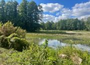 Budowlana 2,6 ha nad Bugiem 30 km od Warszawy miniaturka 9