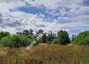Działka budowlana, Stara Wieś, 3500 m2. MPZP miniaturka 4