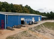 Kruszyn, 37 500 zł, 1500 m2, produkcyjno-magazynowy miniaturka 5