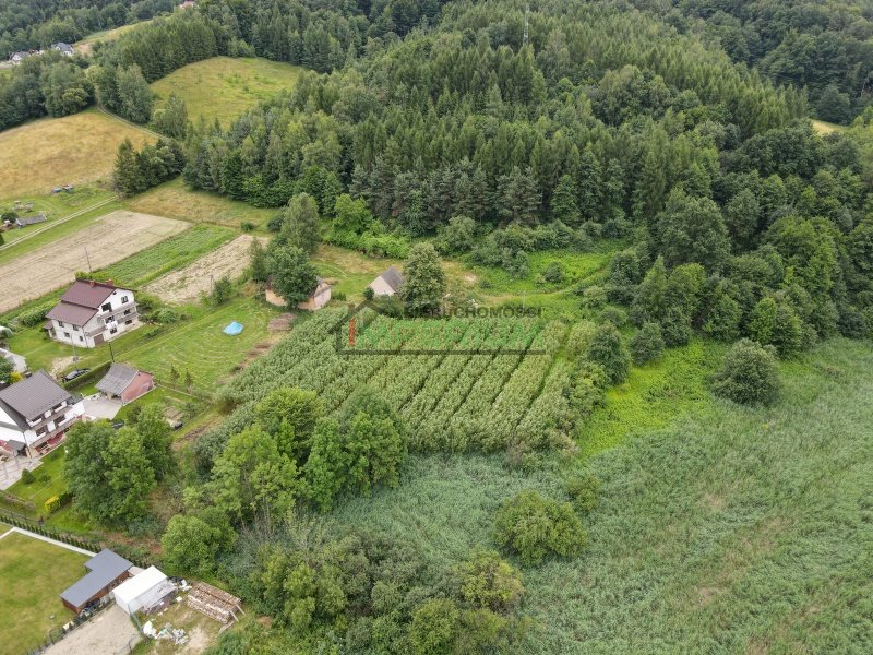 Roztoka-Brzeziny, 370 000 zł, 130 m2, wolnostojący miniaturka 6