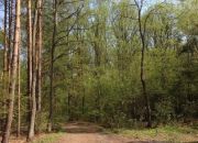 Sękocin-Las, 6 500 000 zł, 1.2 ha, woda w drodze miniaturka 3