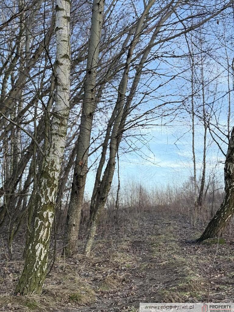 Działki budowlane, Góra Motyczna, gm. Żyraków miniaturka 8