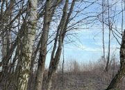 Działki budowlane, Góra Motyczna, gm. Żyraków miniaturka 8