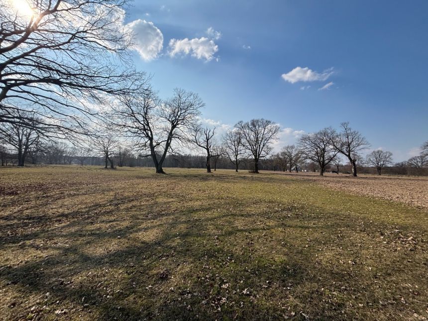 Działka 7500 M2 30 km od Warszawy, rzeka, las miniaturka 4