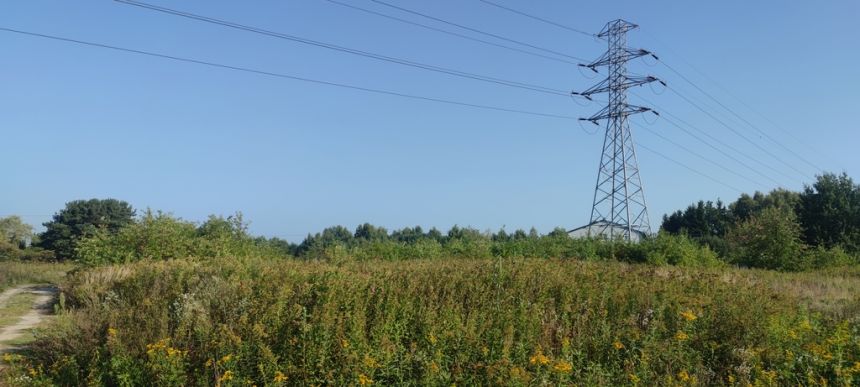 Stare Babice, 2 580 000 zł, 51.6 ar, o nieregularnym kształcie miniaturka 5