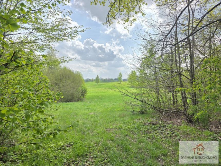 Nowe Worowo, 430 000 zł, 3.69 ha, droga dojazdowa asfaltowa miniaturka 2