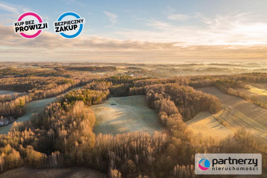 Podjazy, 649 000 zł, 8.76 ha, siedliskowa - zdjęcie 1