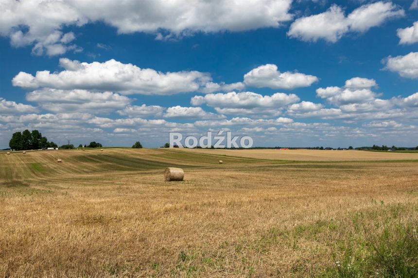 Ojrzanowo, 260 000 zł, 43.1 ar, przyłącze wodociągu miniaturka 10