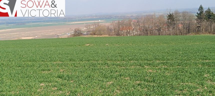 Piękna, otoczona lasem działka w Dobromierzu - zdjęcie 1