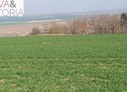 Piękna, otoczona lasem działka w Dobromierzu miniaturka 1