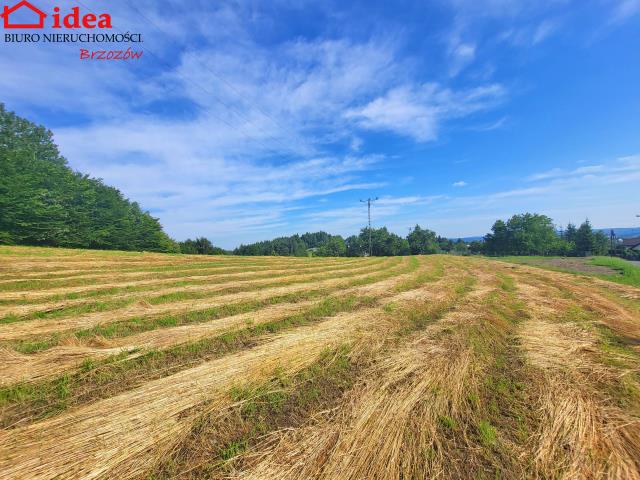 Brzozów, 175 000 zł, 45 ar, droga dojazdowa asfaltowa miniaturka 2