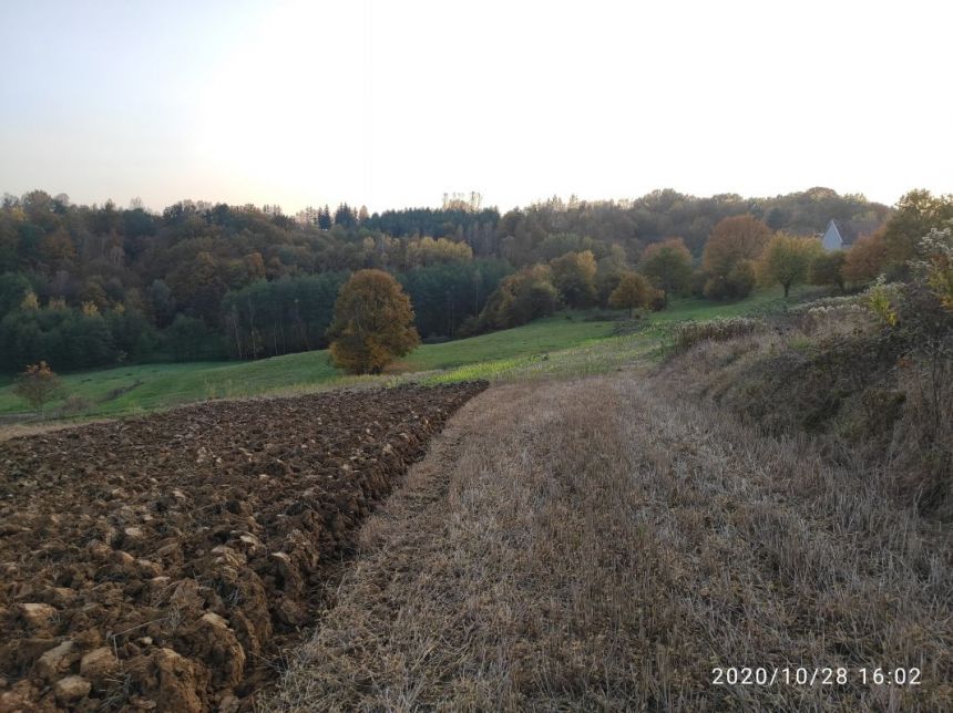 Siedliska, 125 000 zł, 1.13 ha, budowlana miniaturka 6