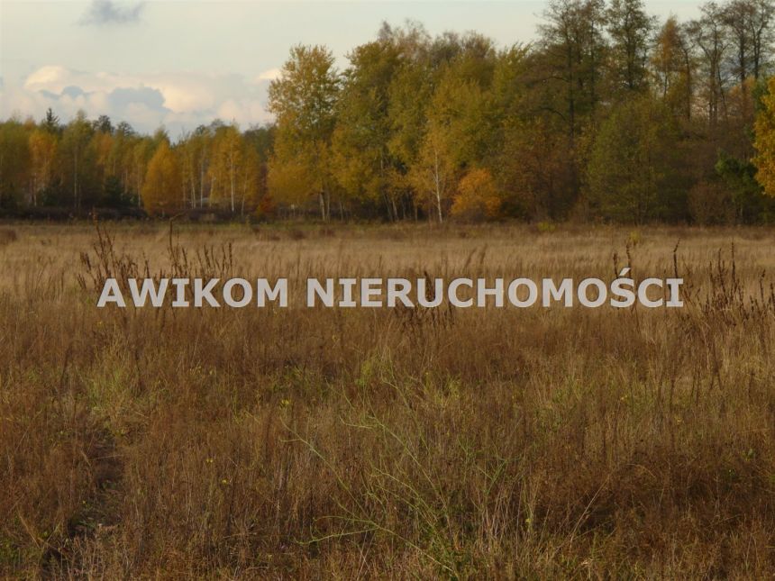 Puszcza Mariańska, 83 930 zł, 11.99 ar, budowlana miniaturka 2