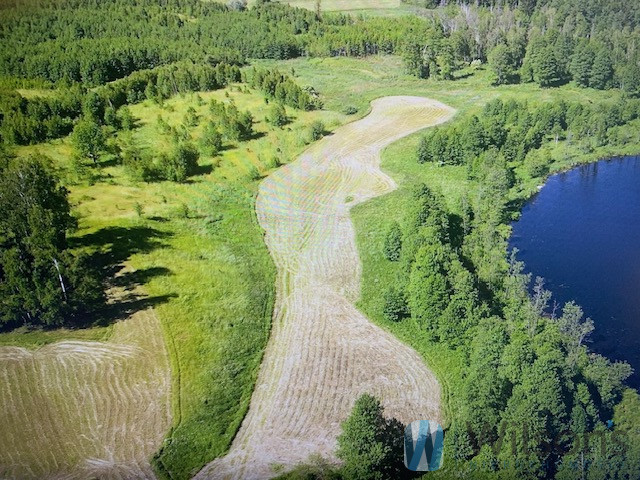 Malinka, 5 900 000 zł, 15 ha, przyłącze prądu miniaturka 4