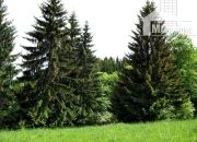 Działka rolna ,leśna ,rekreacja ,domki miniaturka 4