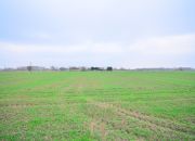 Gorzów Wielkopolski, 550 000 zł, 79.68 ar, kwadratowa miniaturka 4
