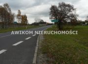 Lisowola, 583 400 zł, 5.83 ha, rolna miniaturka 1