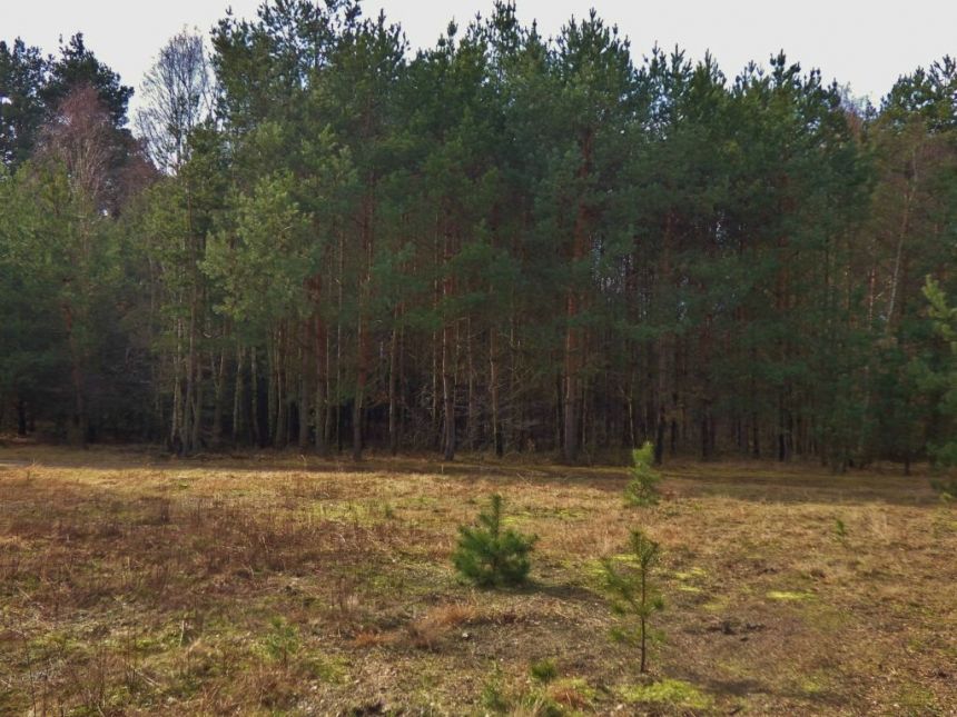 DZIAŁKA 3800 m², WÓLKA ŁĘKAWSKA miniaturka 6