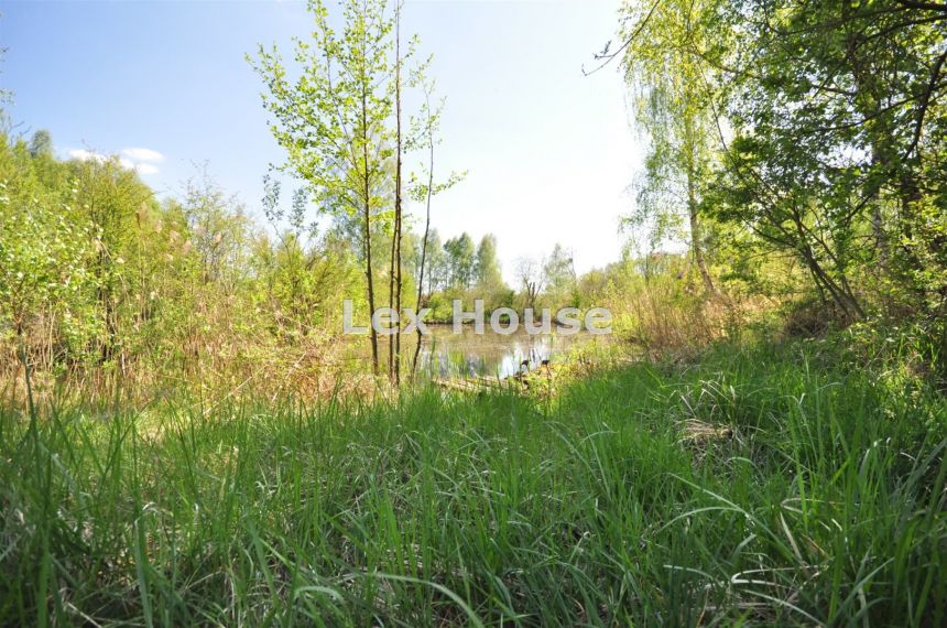 Złocieniec, 7 500 000 zł, 500 m2, jasna kuchnia miniaturka 21