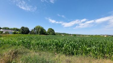 OFERTA INWESTYCYJNA DZIAŁKA |30.929 m2| PIEKARY ŚL