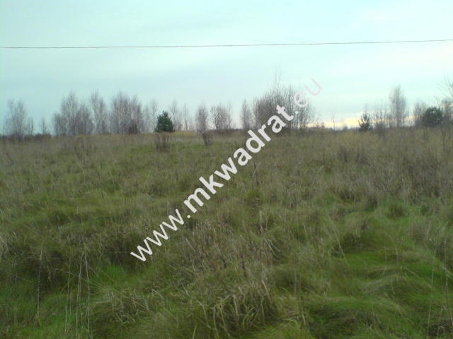Puszcza Mariańska, 370 000 zł, 1.85 ha, rolna miniaturka 2