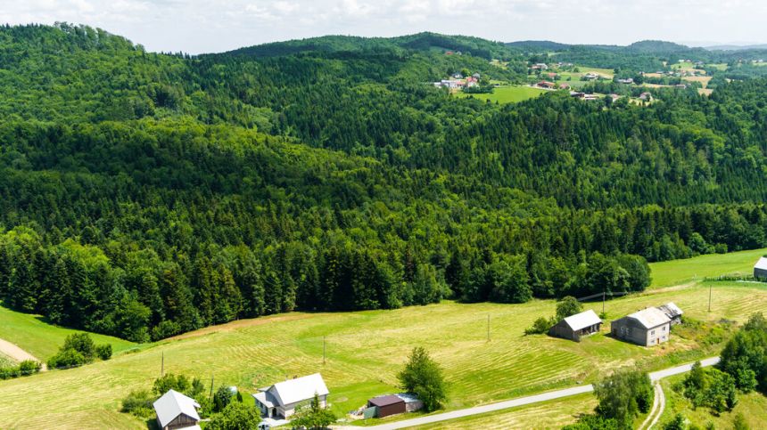 Działka budowlana-Żurowa/Szerzyny-Małopolska - zdjęcie 1