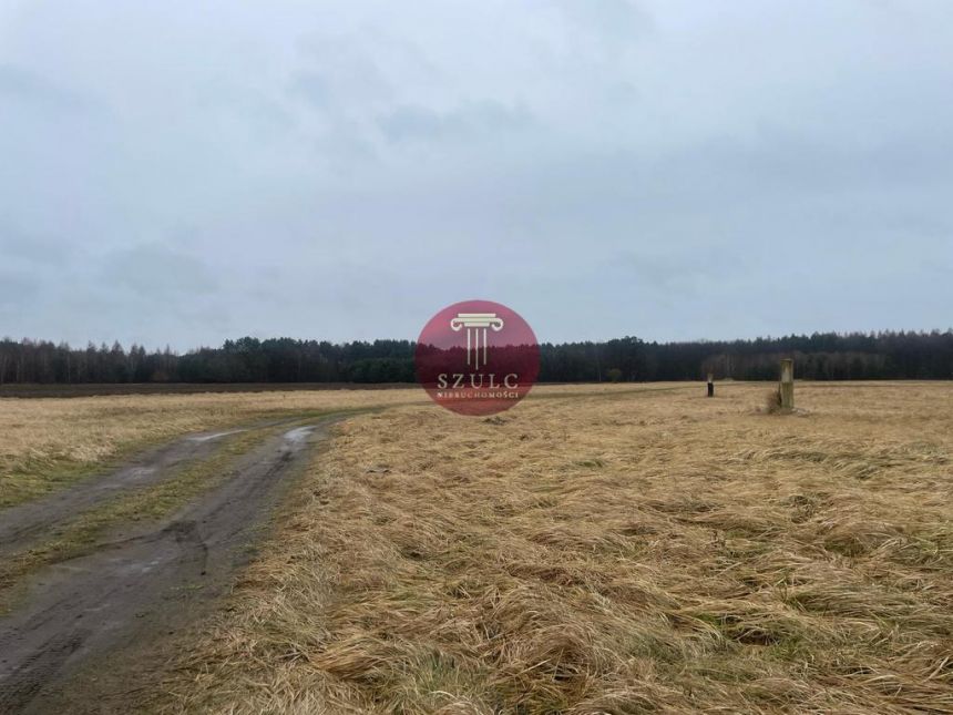 Sprzedam trzy działki w Białuniu blisko lasu. miniaturka 4