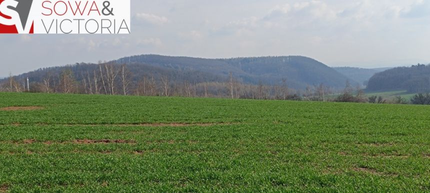 Piękna, otoczona lasem działka w Dobromierzu miniaturka 5