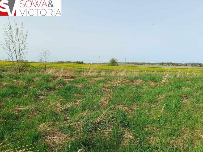 Działka budowlana pośród nielicznej zabudowy. miniaturka 2