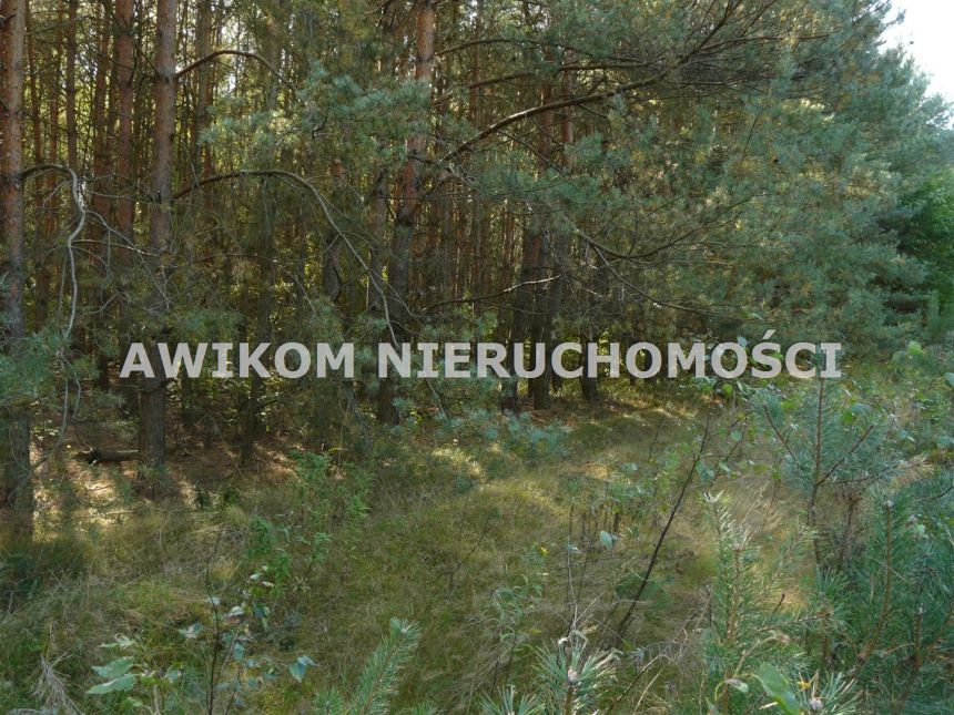 Przewodowice, 299 214 zł, 1.66 ha, woda w drodze miniaturka 7