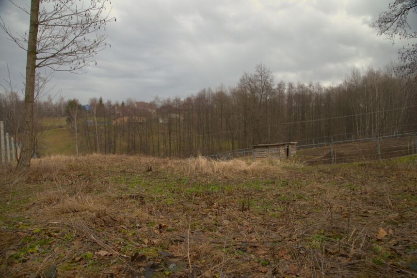 Działka rolno-zagrodowa w Łękawce ! miniaturka 3