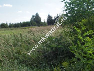 Błonie, 2 500 000 zł, 1 ha, komercyjna