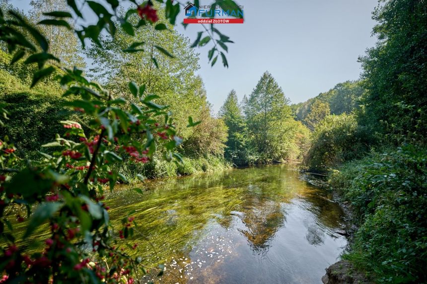 Działka pod agroturystykę przy rzece, Zabrodzie miniaturka 8