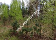 Piękna działka przy lesie, Czarny las 2769m2 miniaturka 5