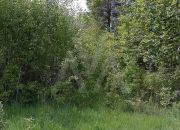Działka budowlana - Graniczna Wieś miniaturka 9