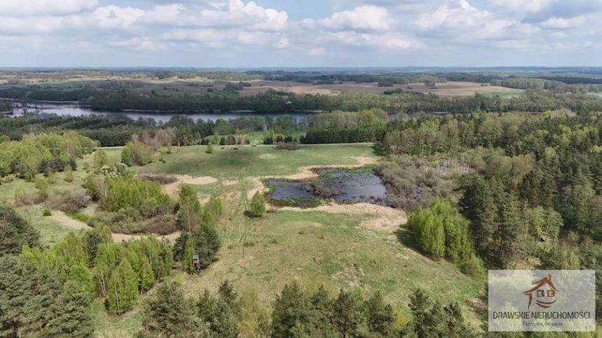 Rzepowo, 495 000 zł, 3.15 ha, rolna miniaturka 7