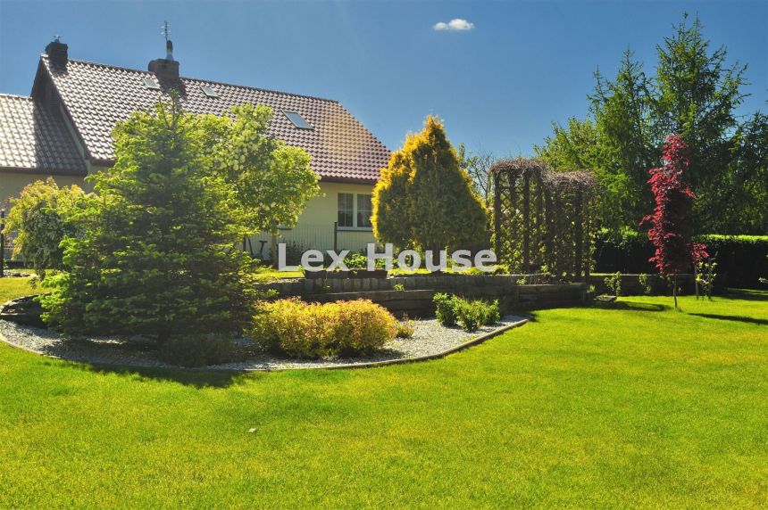 Sprzedam dom przy granicy Puszczy Bukowej w Płoni. miniaturka 35