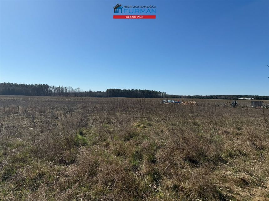 Rychlik, 120 000 zł, 16.2 ar, budowlana miniaturka 6