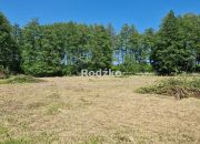 Wałdowo Królewskie 325 000 zł 31.44 ar miniaturka 4