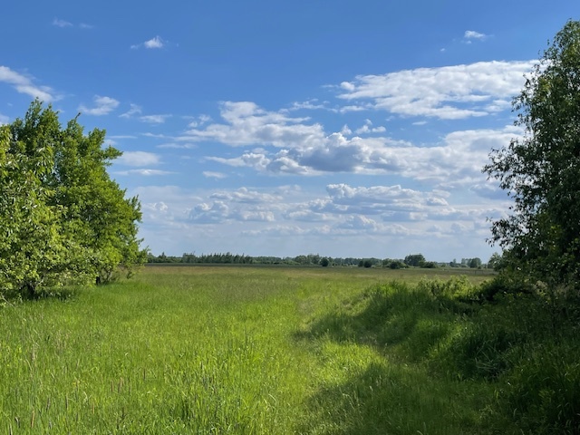 Siedlisko 4,3 ha 30 km od Warszawy 0% prowizji miniaturka 14