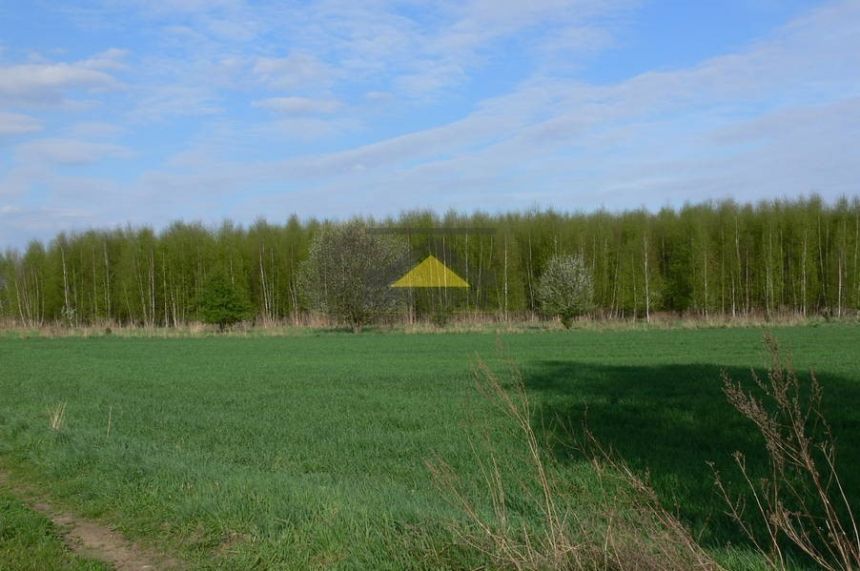 Działka rolna na sprzedaż 86A Gorzów Wlkp. miniaturka 2