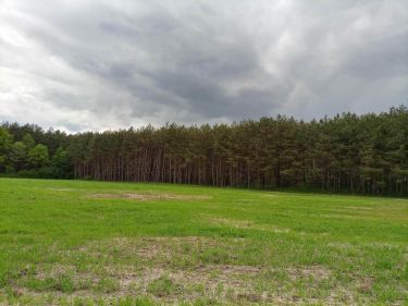 Działki budowlane gmina Lisia Góra