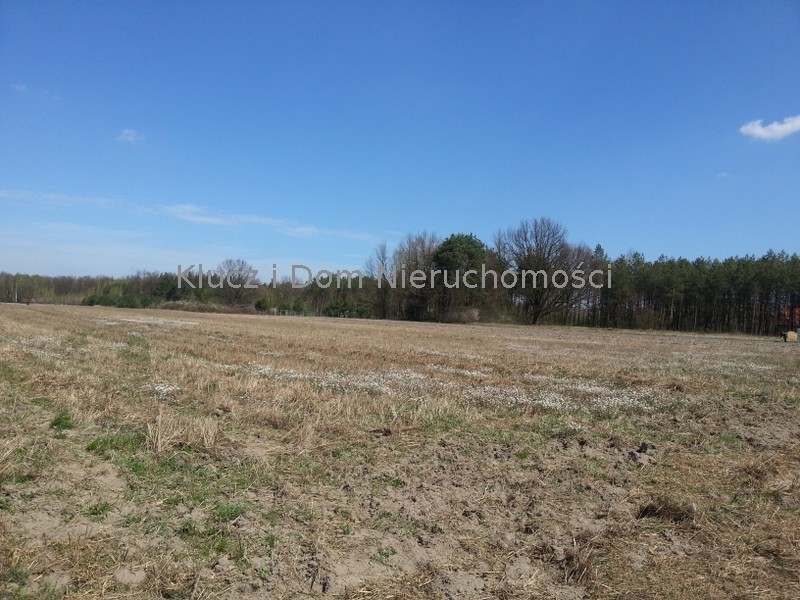 Prażmów, 2 020 000 zł, 3.34 ha, droga dojazdowa utwardzona miniaturka 1