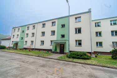 Skwierzyna, 385 000 zł, 72.7 m2, pietro 1