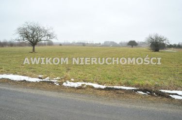 Boża Wola, 1 760 000 zł, 2.2 ha, przyłącze elektryczne