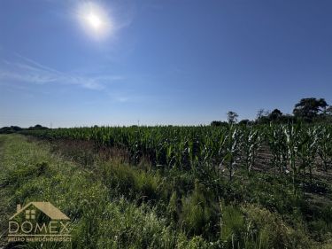 Działka budowlana Olza, gm. Gorzyce – 525 m²