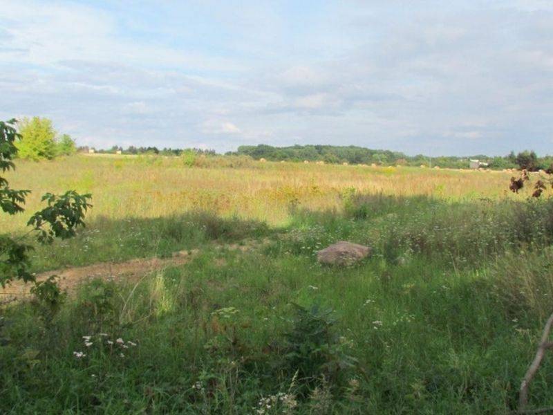 Grunt  na sprzedaż, Kwilcz, 7654.00 m2 miniaturka 2