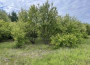 Działka budowlana 905 m² – Słupno k. Radzymina miniaturka 3