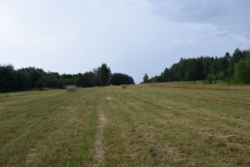 Działka budowlana 39a w Budach Głogowskich miniaturka 2